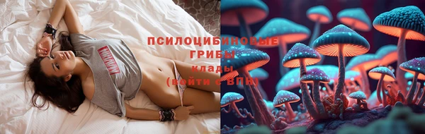 ПСИЛОЦИБИНОВЫЕ ГРИБЫ Алзамай