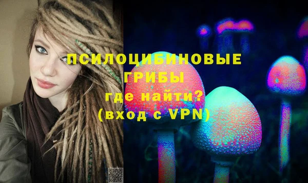 марки lsd Абаза